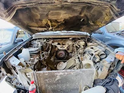 Foto de Dos Potrillos