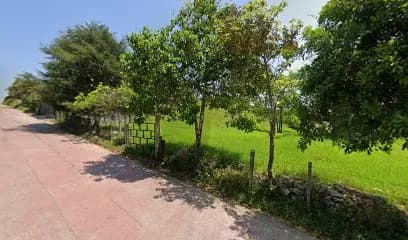 Foto de leno Mansilla