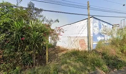Foto de Loman