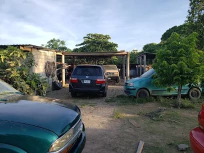 Foto de Mecánico Lalo