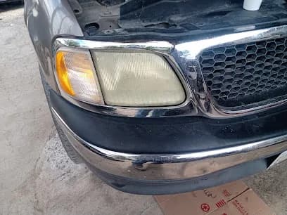 Foto de Lagarto automotriz