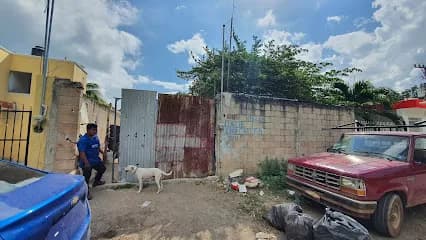 Foto de Taller Automotriz Braulio May