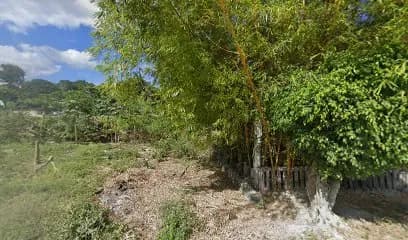 Foto de Servicio eléctrico automotor