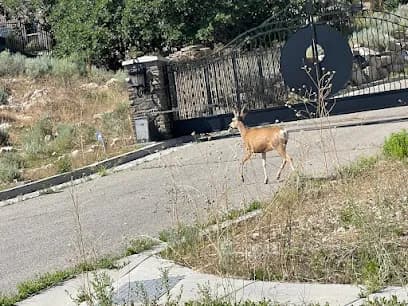 Foto de Moto Servicio Rangel
