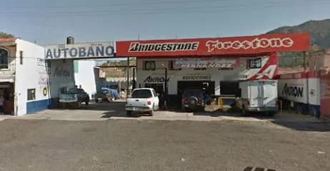 Foto de Multiservicios Hernández 14592