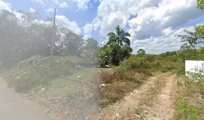 Foto de taller Palomo disel y gasolina