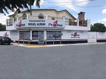 Foto de TRANS-PARTES MIGUEL ALEMAN