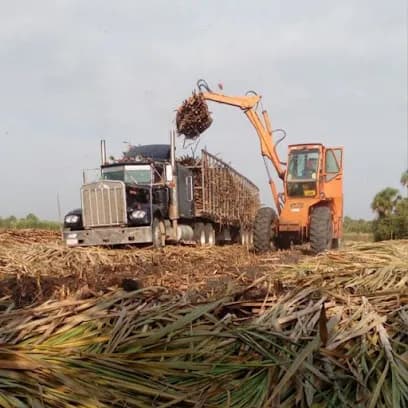 Foto de Taller Mecánico-Diesel TranspOrtega