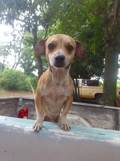 Foto de Taller Mecánico Barbosa